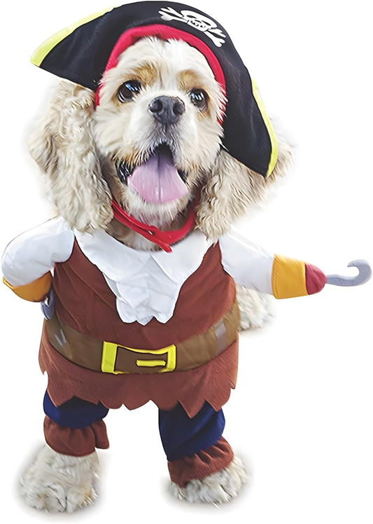 Pirata - Pet Dog